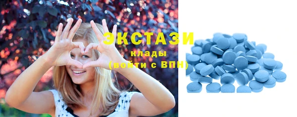 трава Няндома