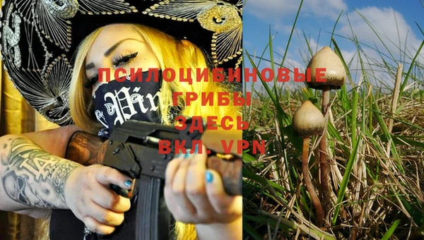 трава Няндома