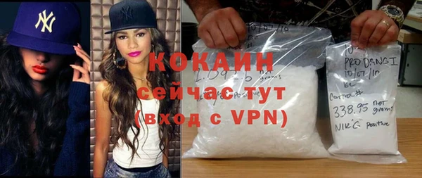 гашик Осинники