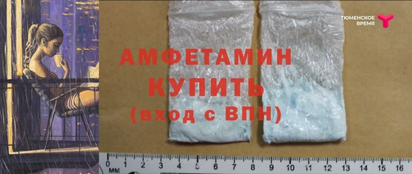 трава Няндома