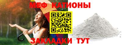 шишки Дубна