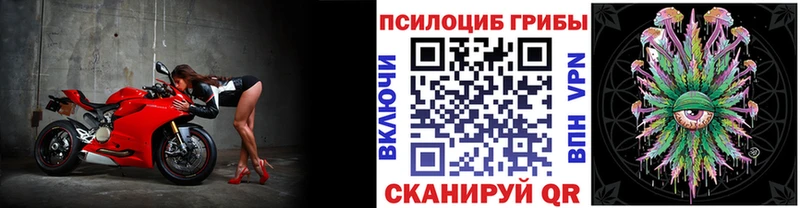 Псилоцибиновые грибы прущие грибы  цены   Старый Оскол 