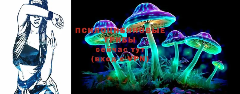 купить наркоту  Старый Оскол  hydra tor  Псилоцибиновые грибы Psilocybe 