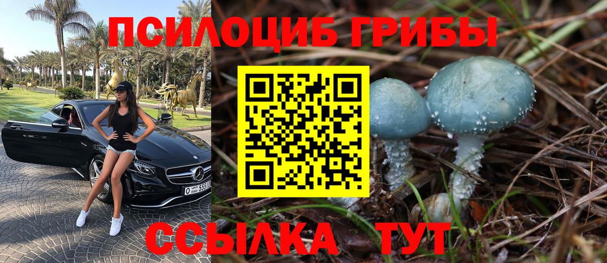 Псилоцибиновые грибы Psilocybine cubensis Старый Оскол