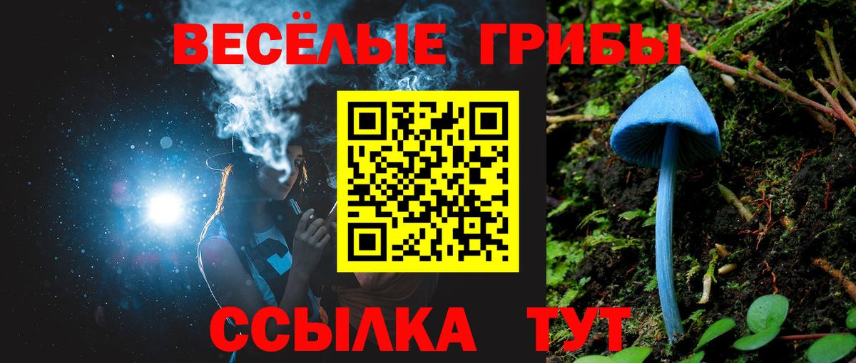 Галлюциногенные грибы Cubensis  Старый Оскол  Галлюциногенные грибы GOLDEN TEACHER 