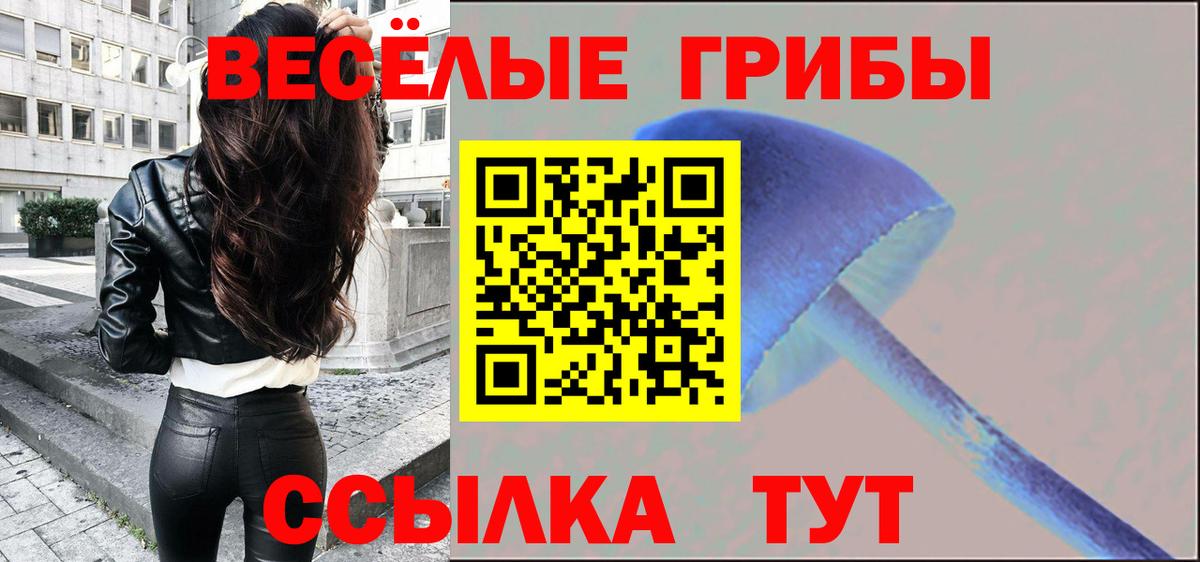 Старый Оскол  Галлюциногенные грибы GOLDEN TEACHER  Галлюциногенные грибы GOLDEN TEACHER  Вход с VPN 